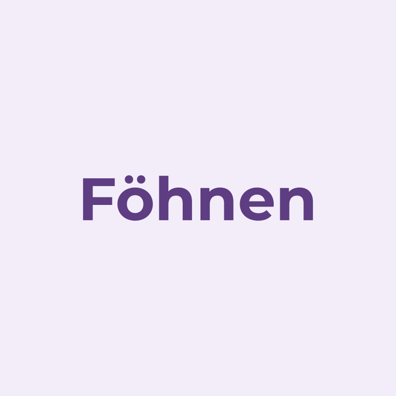 Föhnen eines Terriers
